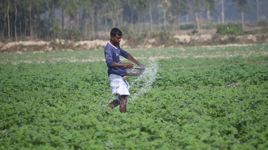 Fertilizers crisis story- Mostafa Shabuj- Bogura-17.12.25_e461.jpg
