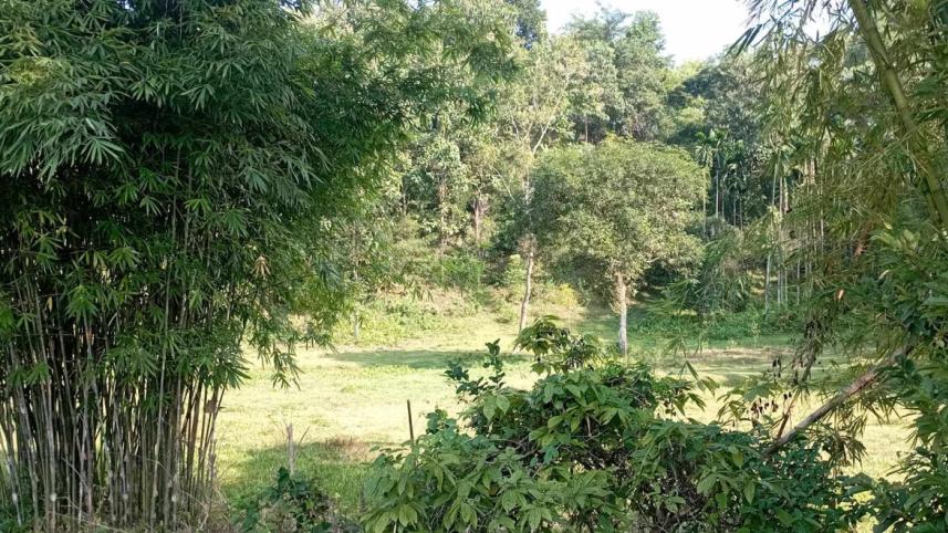 ED 2 - The interims unfinished conservation business_a811.jpg