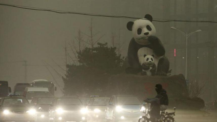 10. China C02 market.jpg