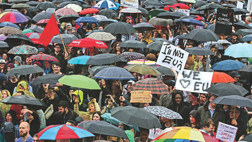 2mf referendum 1.jpg