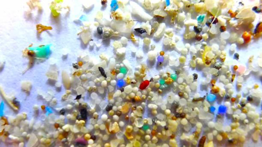 3.-Plastic-microbeadsWB.jpg