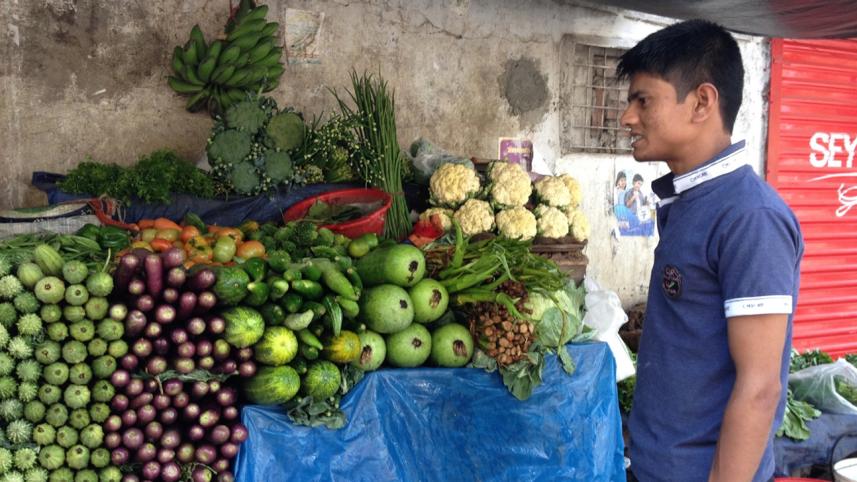 Real vegetables and fruits