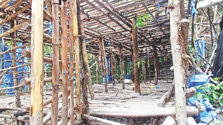 abandoned camp 2.jpg