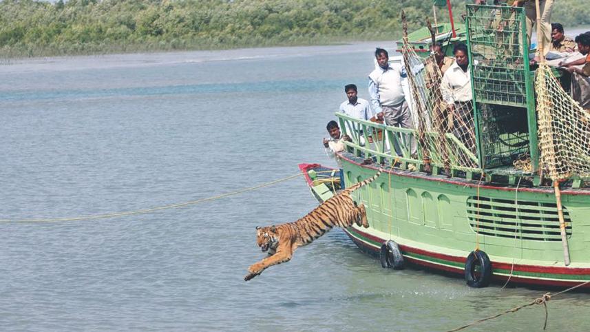 an_epic_saga_of_loss