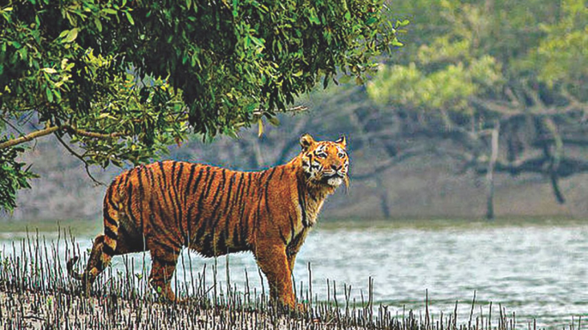 an_epic_saga_of_loss