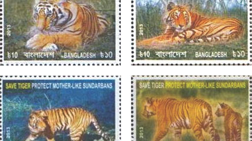 An Ode to the Sundarbans