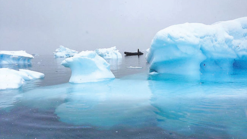 antartica3.jpg