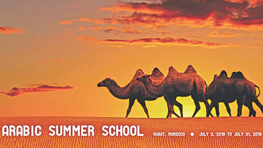 arabic_summer_school_at_mohammed_v_university_in_rabat_morocco