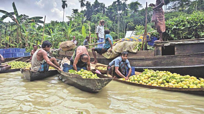 as_the_market_picks_up_around_mid-day_the_guava_farmers_snake_through_the_waters_to_bring_in_their_produce.jpg