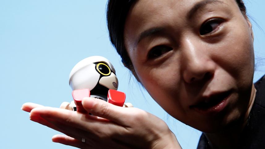 Toyota Motor Corp, unveils,robot baby, Kirobo Mini,Japan,aging women,childless,mothers,synthetic baby companion