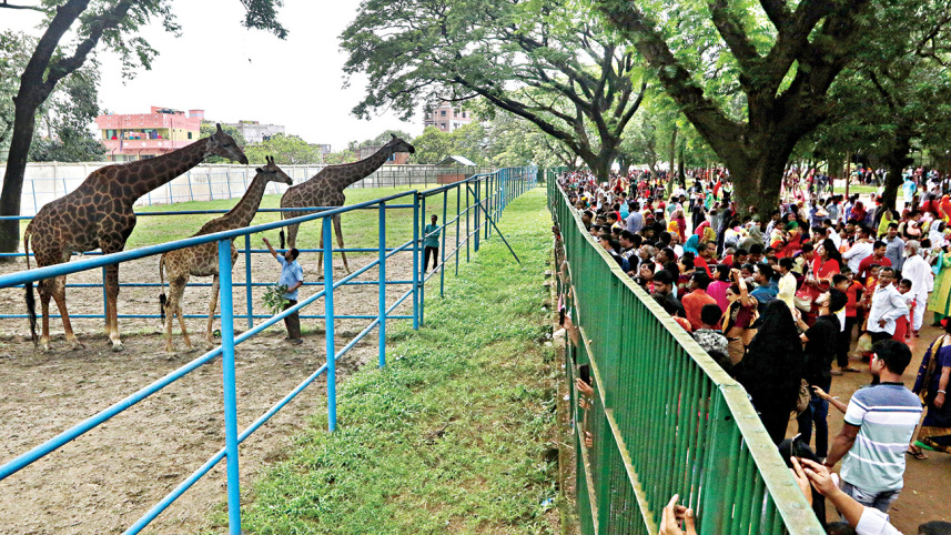 bangladesh_national_zoo_2.jpg