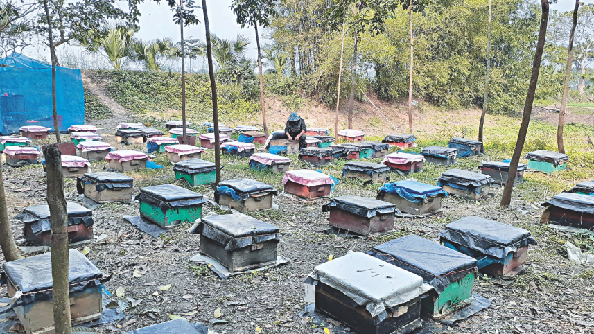 beekeepers_flourish_2.jpg
