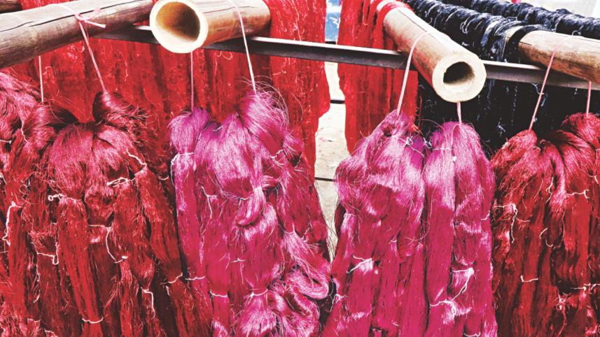 Benarasi Bliss 6.jpg