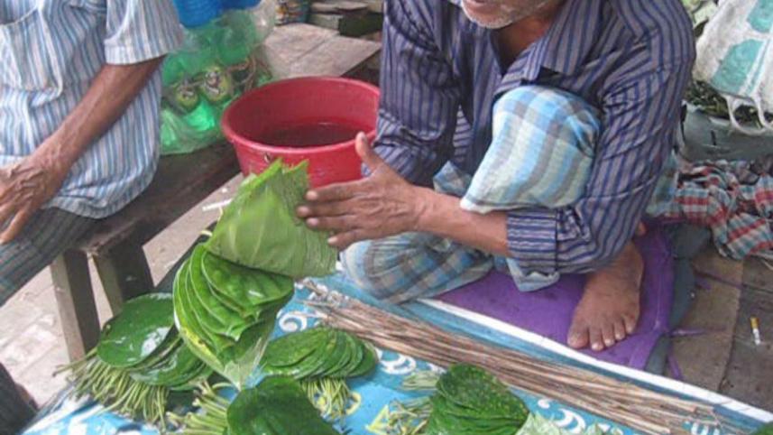 betel leaf 02.jpg