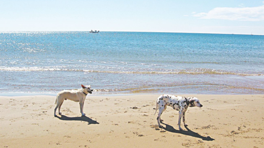 beyond_the_ile-de-france