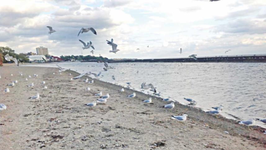 Budapest Park – a pride of Toronto city!