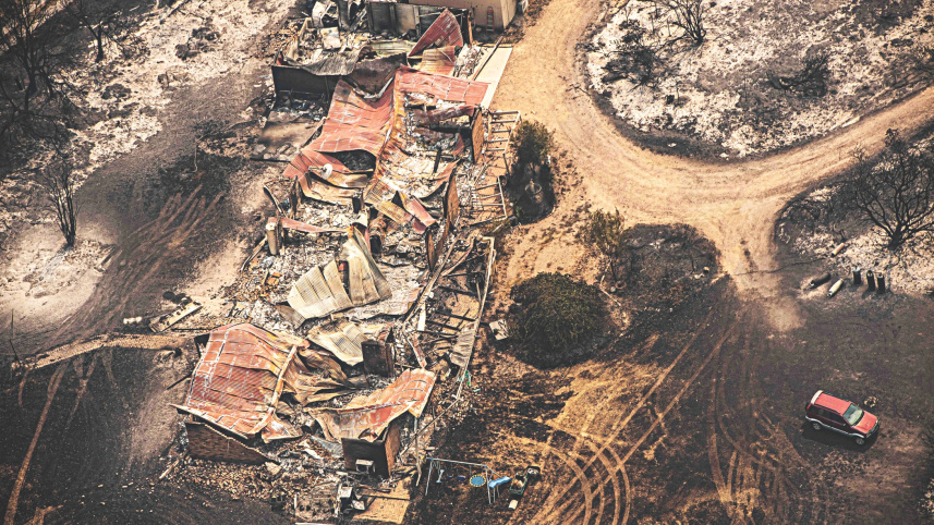 bushfires.jpg