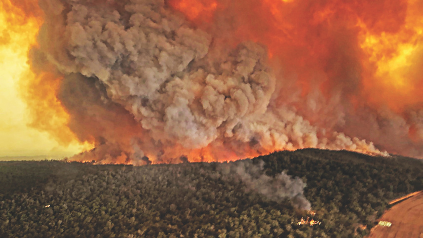 bushfires2.jpg