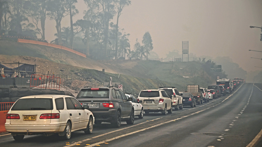 bushfires3.jpg