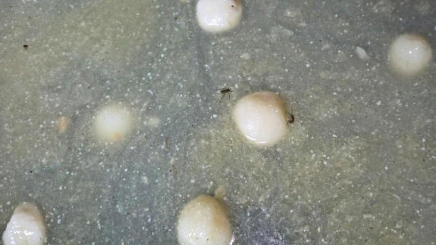 Chandgaon area 2.jpg