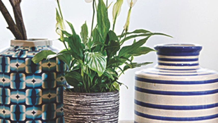 clean_air_in_the_home