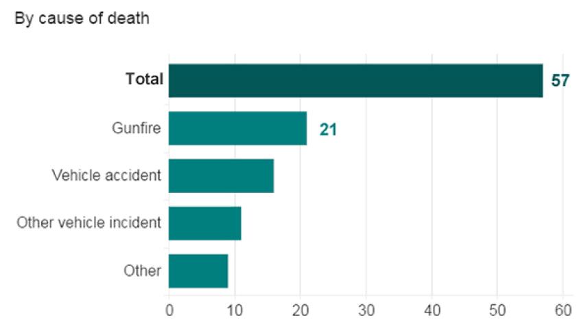 Dallas shooting, Bomb-making material, Dallas shooting suspect home