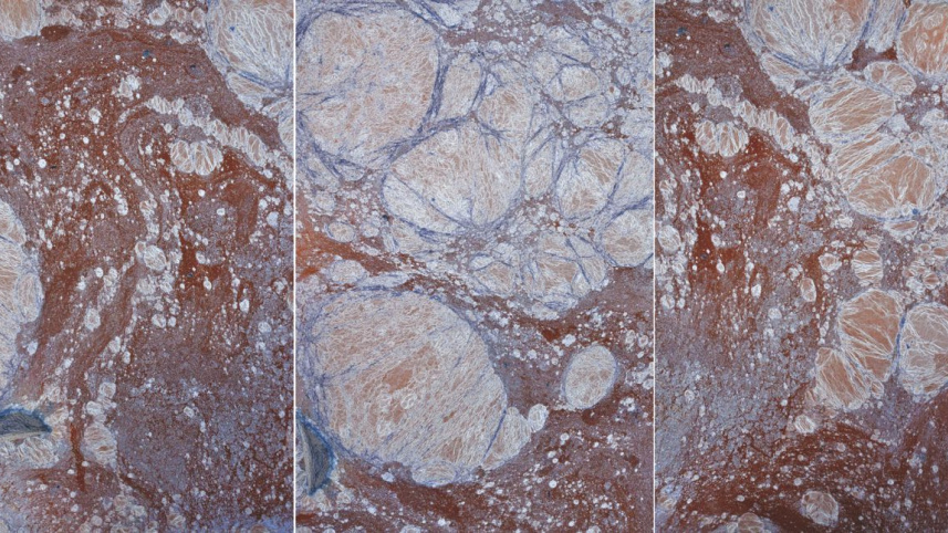 dark_flows_the_river_turag