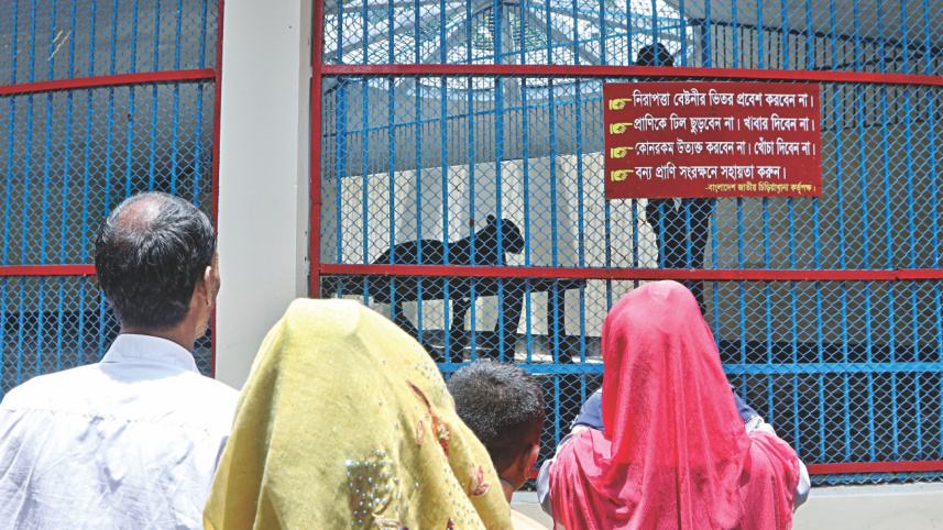 dhaka_zoo_condition_2.jpg