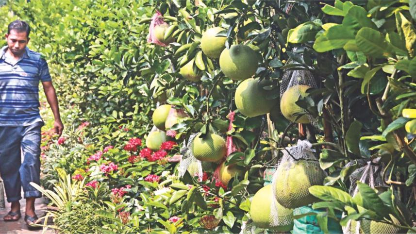 Different Shades of Green