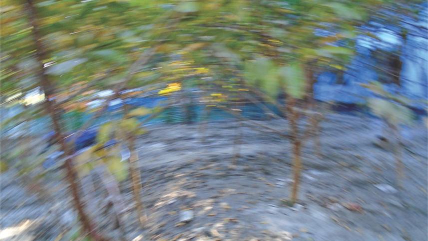 erased_desires_-_of_disability_and_sexuality