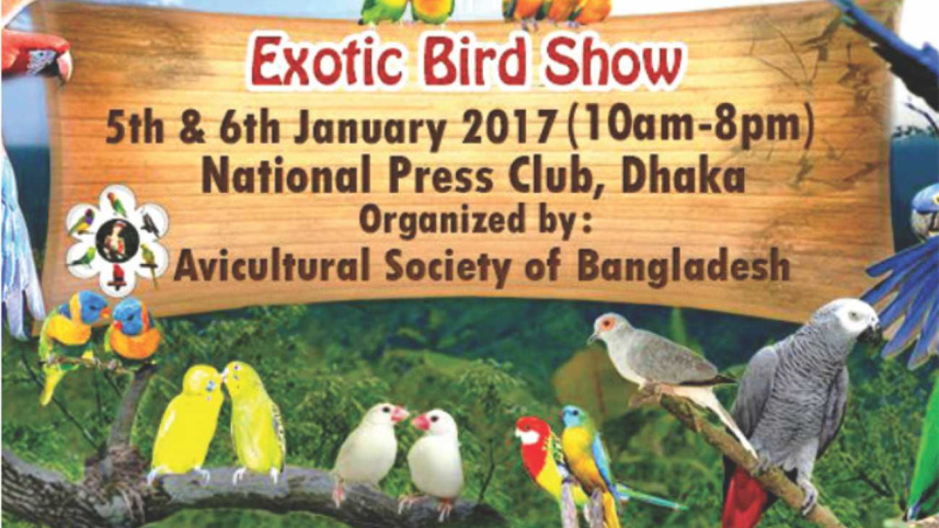Exotic Bird Show 2017