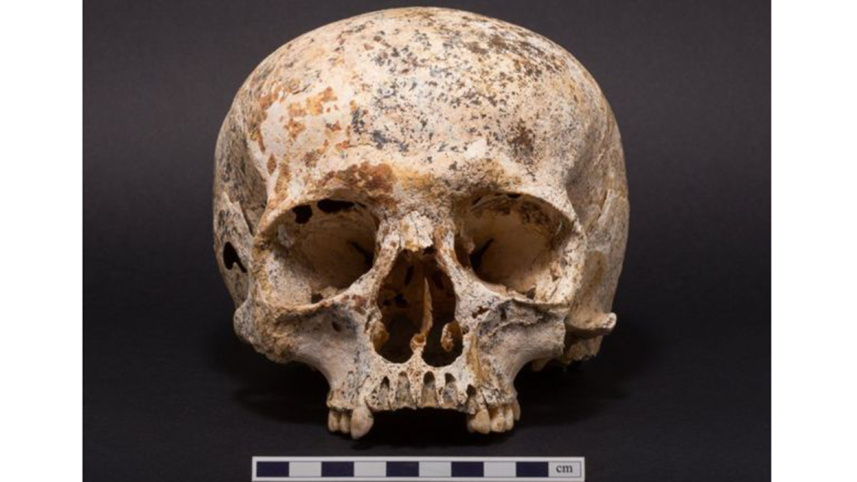 Facial reconstruction, Bronze age, Bronze age woman, Ava