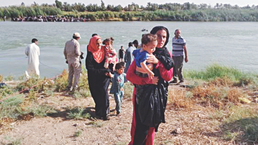 fallujah 1.jpg
