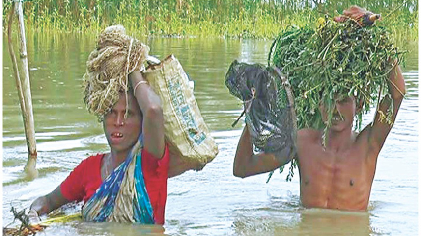 flood3.jpg