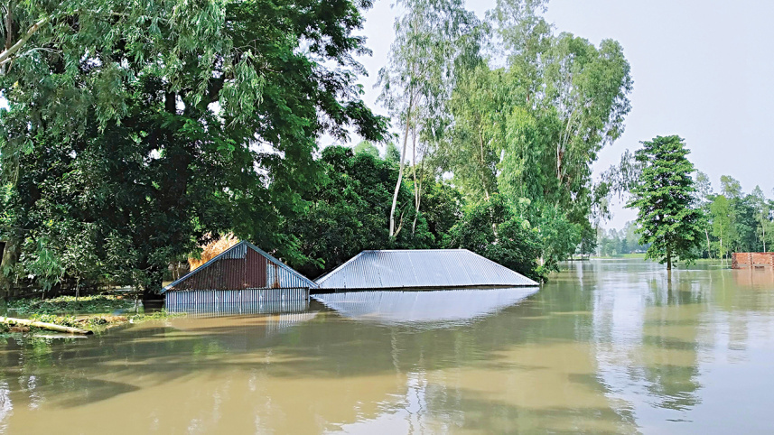 Flood situation in Sonatala Bogura
