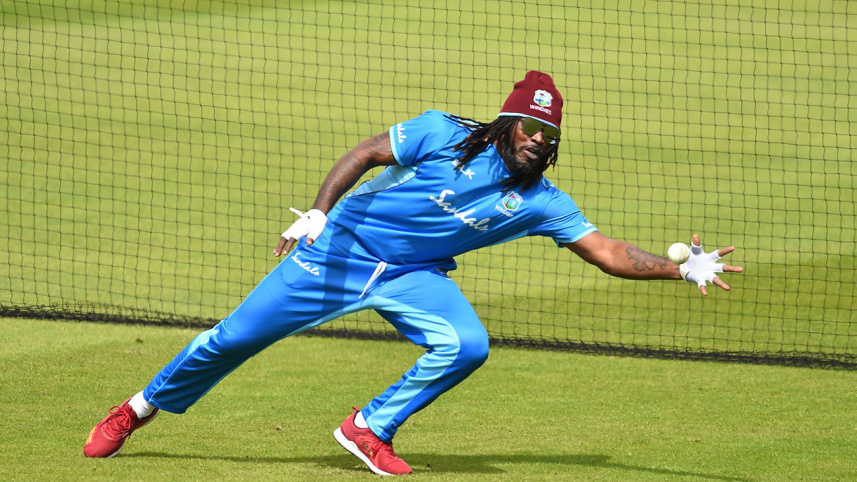 gayle_5.jpg