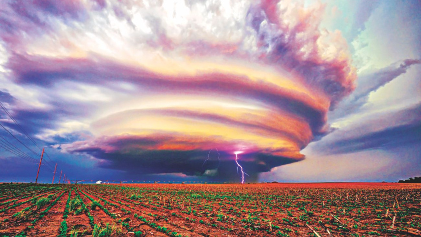 Great expectations for 2019 