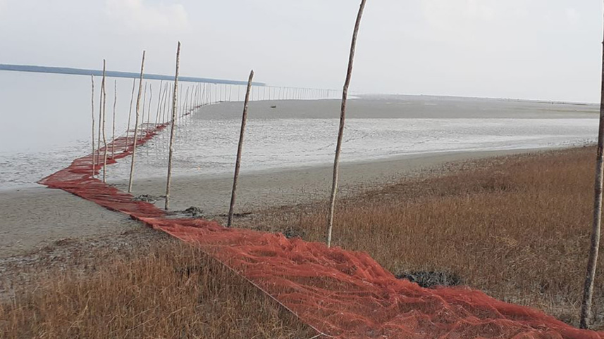 illegal_nets_coastal_area_2.jpg