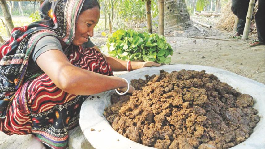 Lalmonirhat farmers2.jpg
