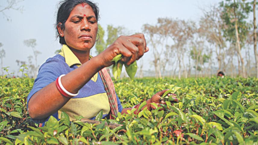 land, FOR identity 4.jpg