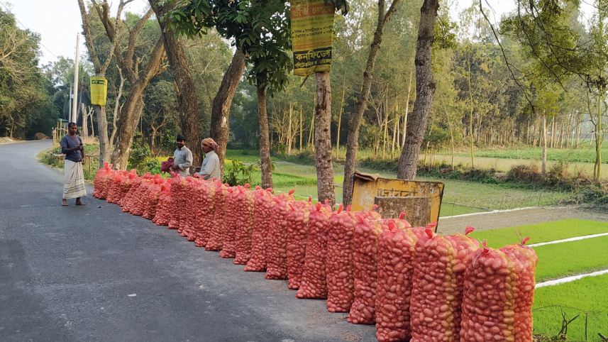 manikganj_potato_growers_2.jpg