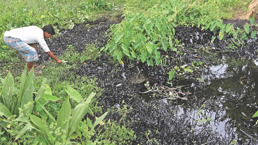 oil spread canel 2.jpg