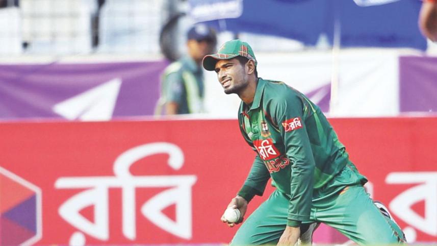 outclass field 2.jpg