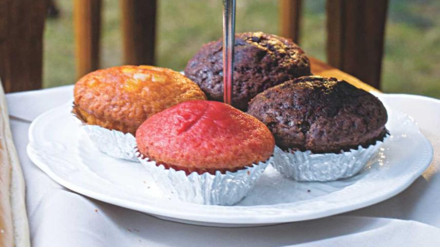 Planning the Perfect Picnic