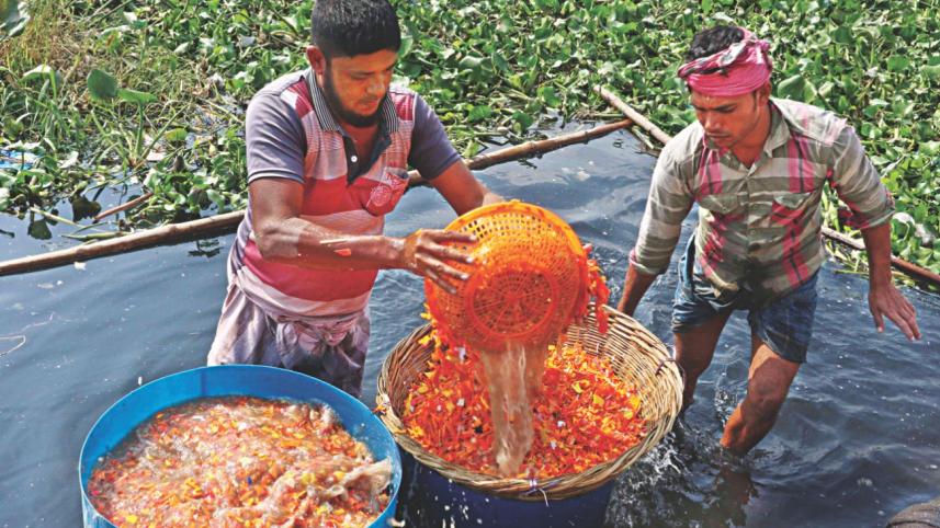 plastic recycle 8.jpg