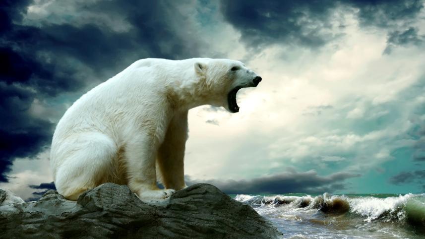 Polar-Bear-Roar.jpg