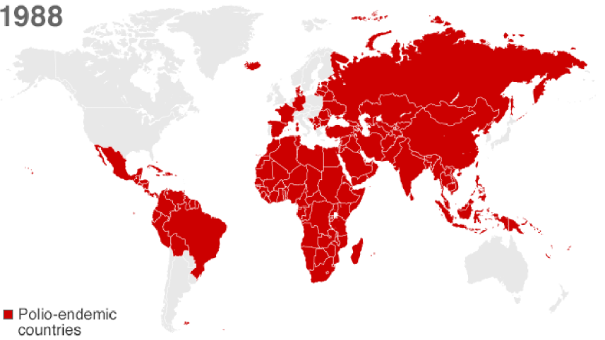 polio 1.png
