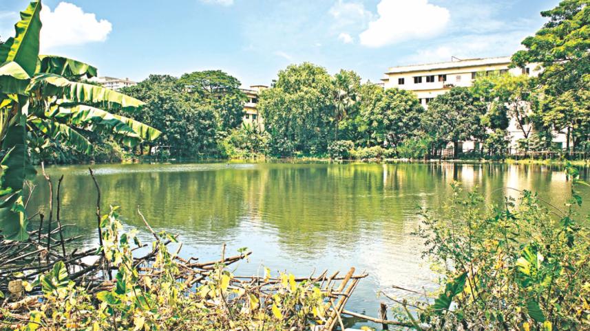 ponds_of_dhaka_3.jpg