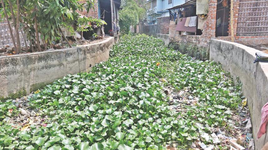 Portion of Chaktai Khal