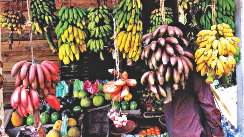 portuguese_fusion_kingdom